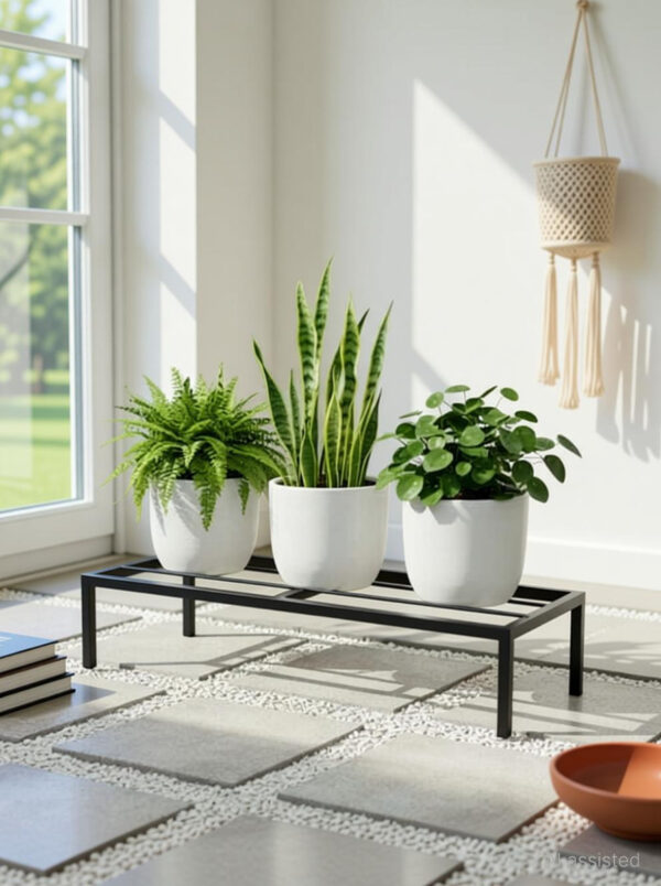 Classic Powder coated Metal Plant Stand For outdoor & Indoor garden of home