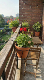 Metal Hanging Planter Basket with Hook for Balcony, Garden & Railing - view 3