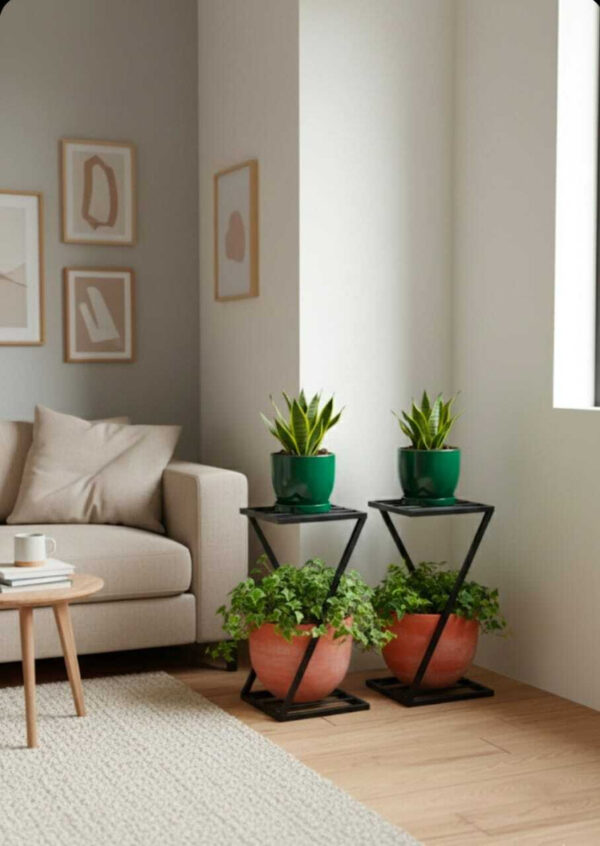 Z shape Gamla stand (Plant stand) for balcony garden (pack of 2B) (Black)