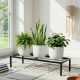 Classic Powder coated Metal Plant Stand For outdoor & Indoor garden of home
